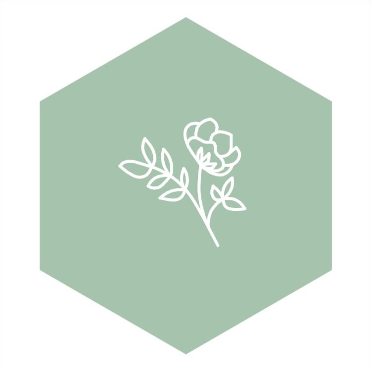 Waben – Garten